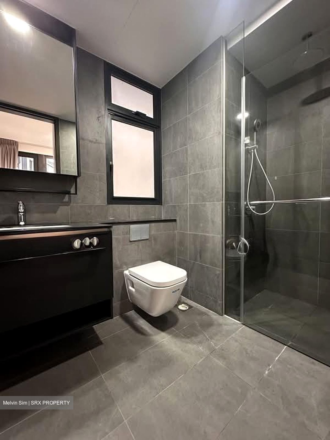 Park Colonial (D13), Condominium #588176411